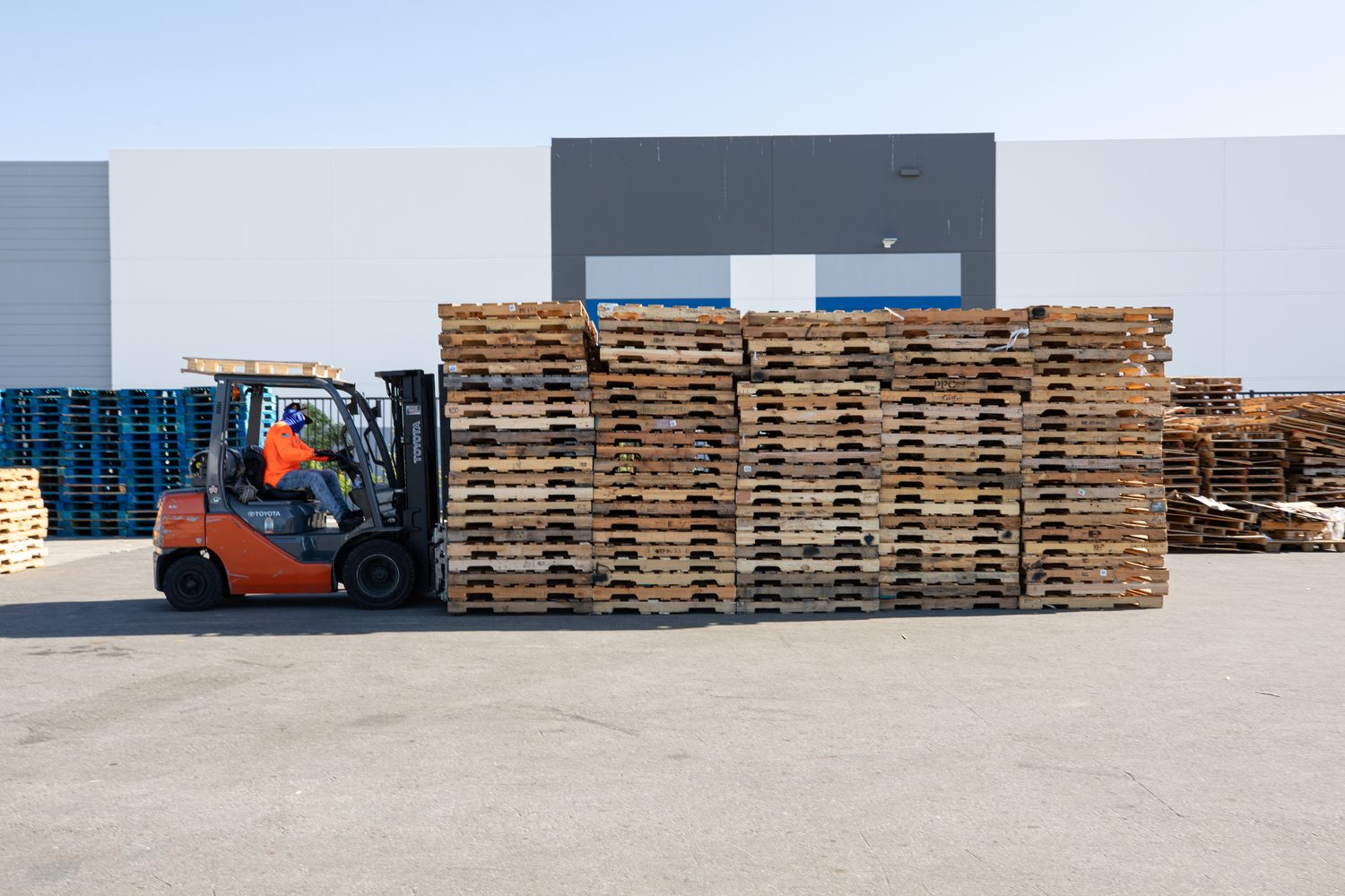 Forklift moving recycled pallet stacks in the yard